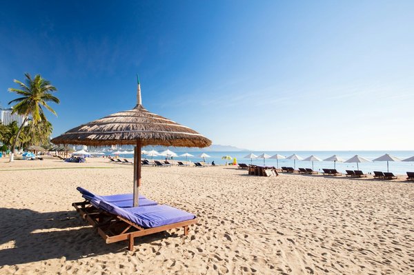 Bien-être animal : soins énergétiques pour chiens, chats, chevaux